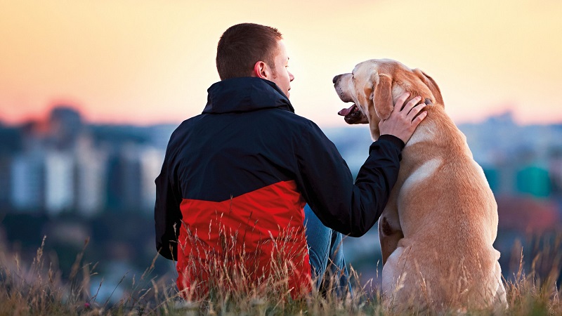 Mann der seinen Hund streichelt